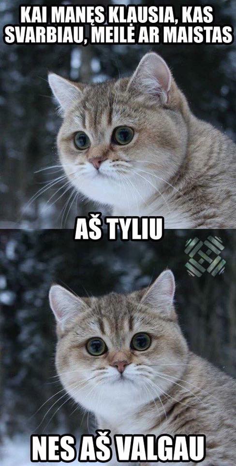 Kam taip nebūna..?:)