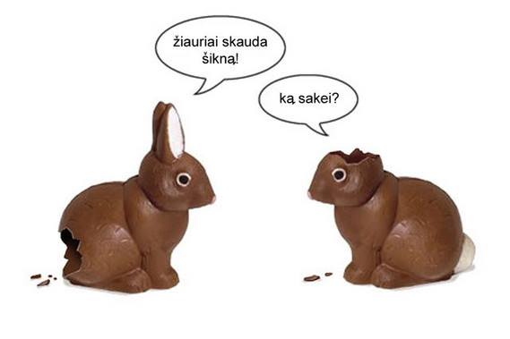 Vargšai Velykiniai zuikiai :)